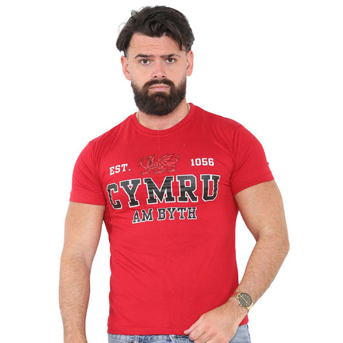 1056 Applique T-Shirt