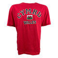 Applique Cymru T-Shirt