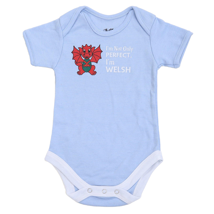 Babies Perfect & Welsh Nappy T