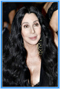 BIOGRAPHY - 1 DVD - CHER