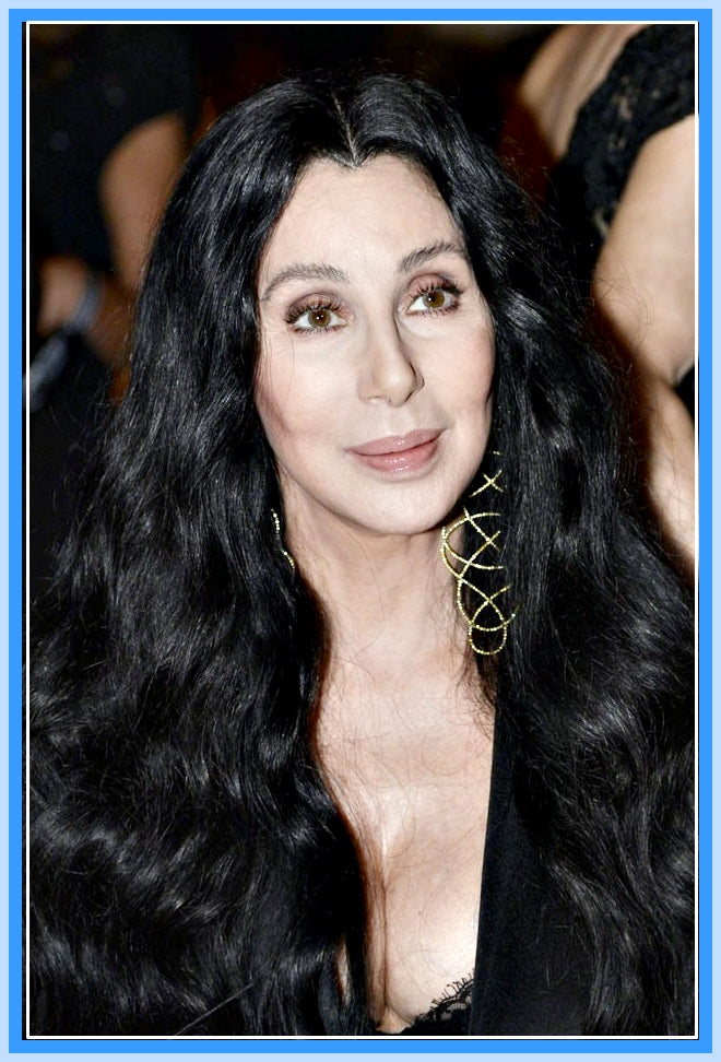 BIOGRAPHY - 1 DVD - CHER