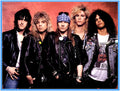 BIOGRAPHY - 1 DVD - GUNS AND ROSES