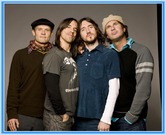BIOGRAPHY - 1 DVD - RED HOT CHILI PEPPERS
