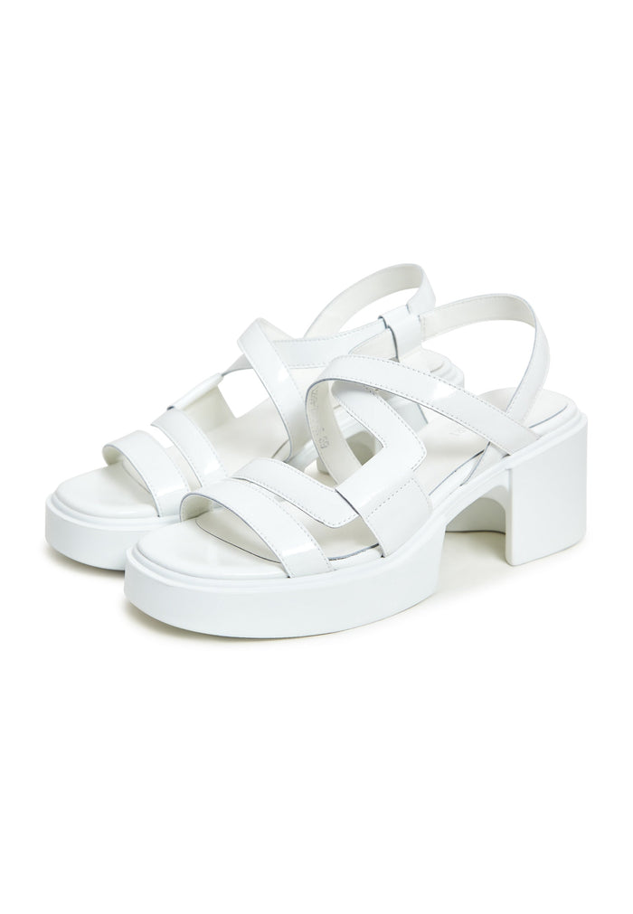 Block Heels Sandals - Cesare Gaspari