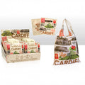 Cardiff Collage Fold Up Shopping Bag 0012