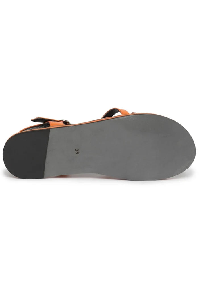 A collection of classic flat sole sandals for women, perfect for summer footwear.