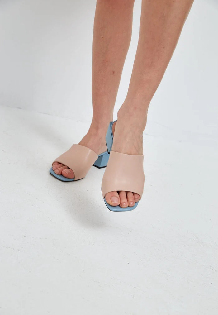 Colourful Mules