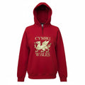 Cymru Wales Foil Hoodie