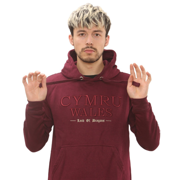 Cymru Wales Land of Dragons Hoodie