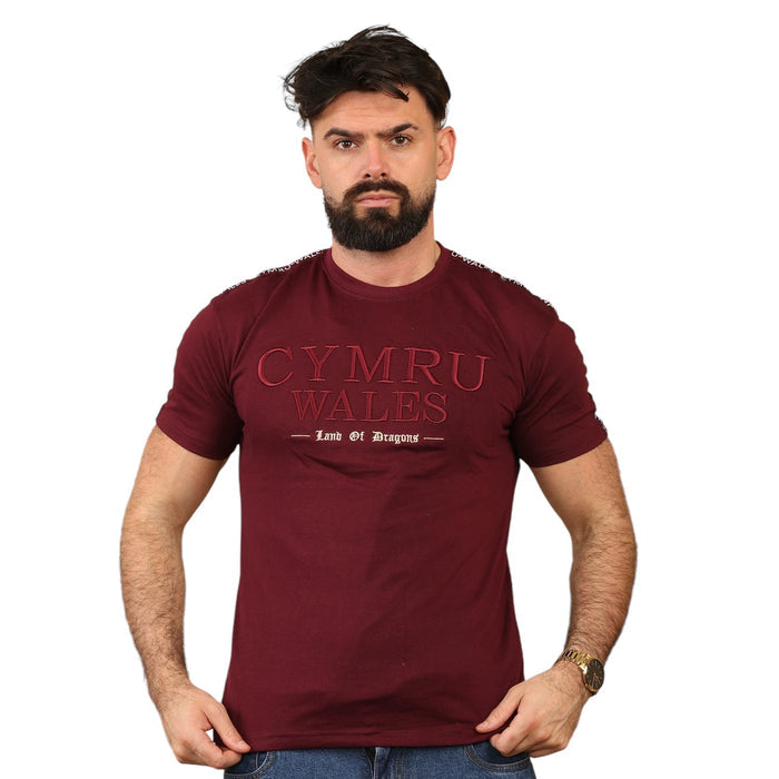 Cymru Wales Land Of Dragons T-Shirt