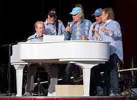 E! TRUE HOLLYWOOD STORY - THE BEACH BOYS (1 DVD)