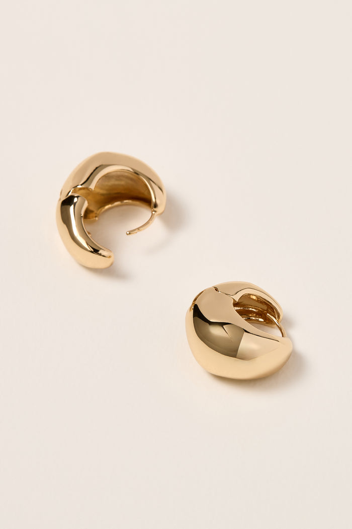 Earrings - Free