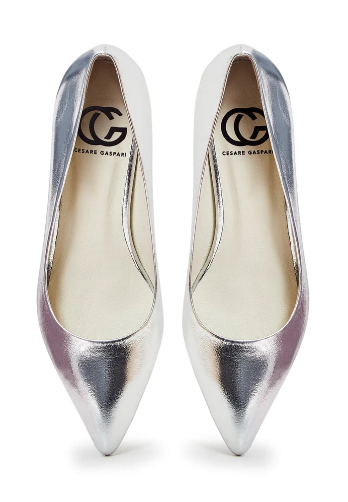 A pair of elegant silver pumps, high-end and luxe footwear for women.