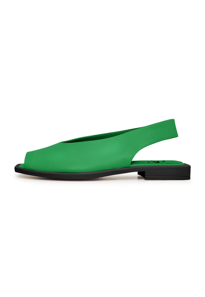 Flat Sole Sandals - Cesare Gaspari