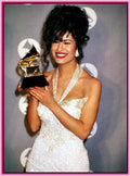"GRAMMY AWARDS" - 1 DVD 1994 - "SHOW  PLUS MORE!"