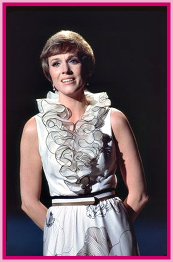 JULIE ANDREWS HOUR  - TV SERIES - 11 DVDS! - RARE