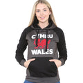 Ladies Cymru Wales Dragon Applique Hoodie