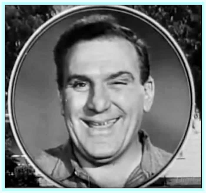 LIFE OF RILEY - TV SERIES - WILLIAM BENDIX - 28 DVDS