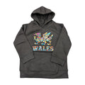 New Kids Multi-Coloured Dragon Wales Hoodie