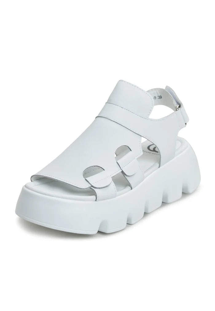 A stylish pair of Amelie White platform sandals, perfect for stepping out in summery fashion. Shop these chic white platform sandals online now!