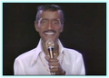 SAMMY STOPS THE WORLD - LIVE AT TERRACE THEATRE LONG BEACH - RARE DVD