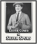 SILVER SPURS - 1922 - LILLIAN WARD - SILENT - RARE DVD