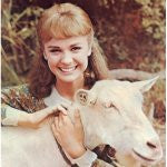 TAMMY - 1965 - Complete Series  - DEBBIE WATSON