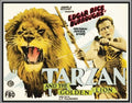 TARZAN AND THE GOLDEN LION - 1927 - JAMES PIERCE - SILENT - RARE DVD