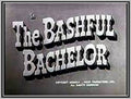 THE BASHFUL BACHELOR - 1942 - ZASU PITTS - RARE DVD