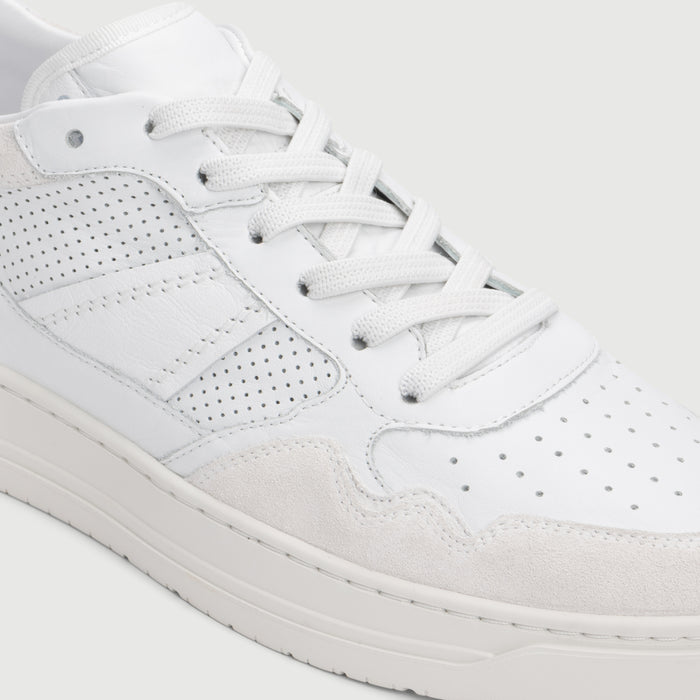 The Kingston - White White
