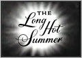 THE LONG HOT SUMMER (1965) DVD - ROY THINNES - 13 EPISODES
