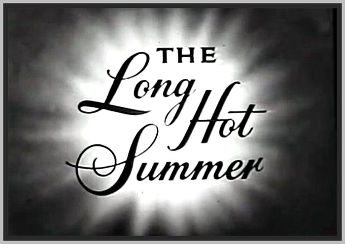 THE LONG HOT SUMMER (1965) DVD - ROY THINNES - 13 EPISODES