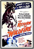 THE RETURN OF WILDFIRE - 1948 - RICHARD ARLEN - RARE DVD