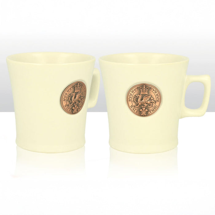Wales Dragon Metal Plaque Mug 0012