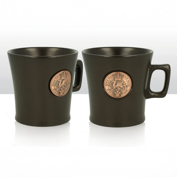 Wales Dragon Metal Plaque Mug 0012