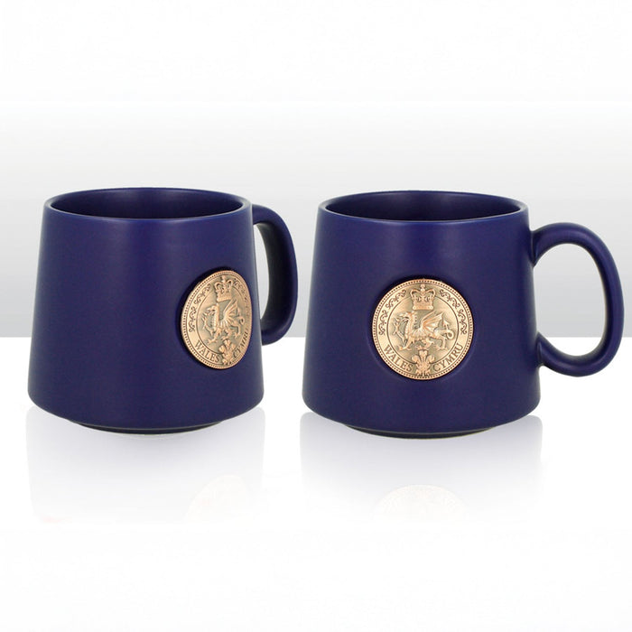 Wales Dragon Metal Plaque Mug 0012
