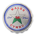 Wales Star Bottle Opener Magnet (Bottle Cap) (MG009)