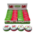 Welsh Dragon Wales (Cymru) Souvenir Lip Balm in a Tin 0024